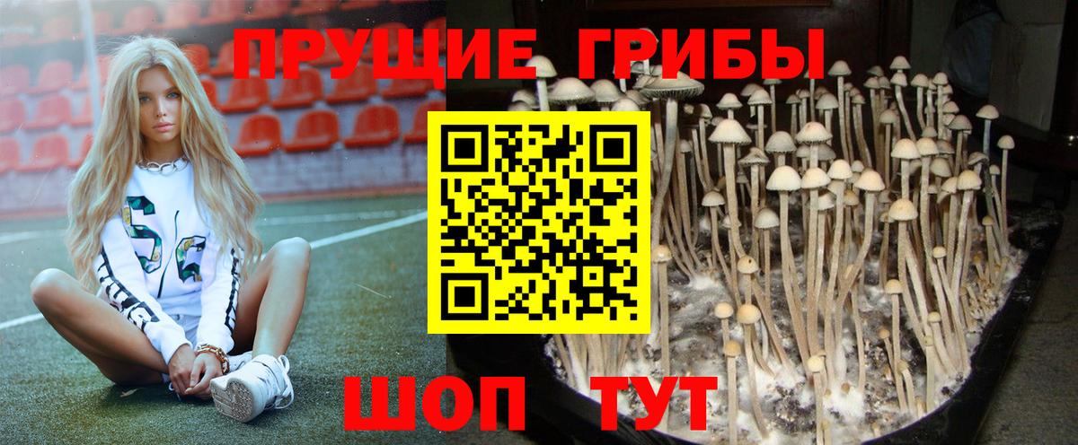 Галлюциногенные грибы Psilocybine cubensis  Вход с VPN  Красноярск 